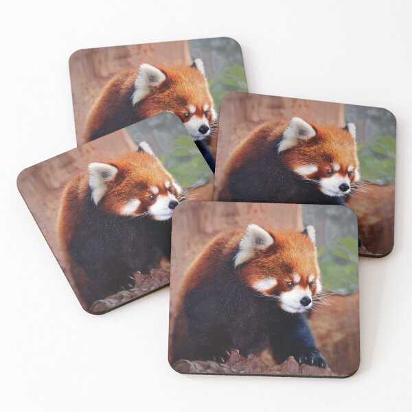 Item preview, Red Panda designed and sold by Savannah Gibbs.