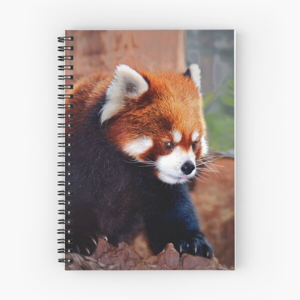 Item preview, Red Panda designed and sold by Savannah Gibbs.