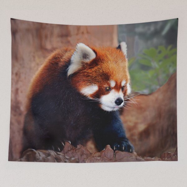 Item preview, Red Panda designed and sold by Savannah Gibbs.