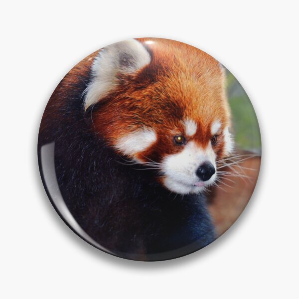 Item preview, Red Panda designed and sold by Savannah Gibbs.