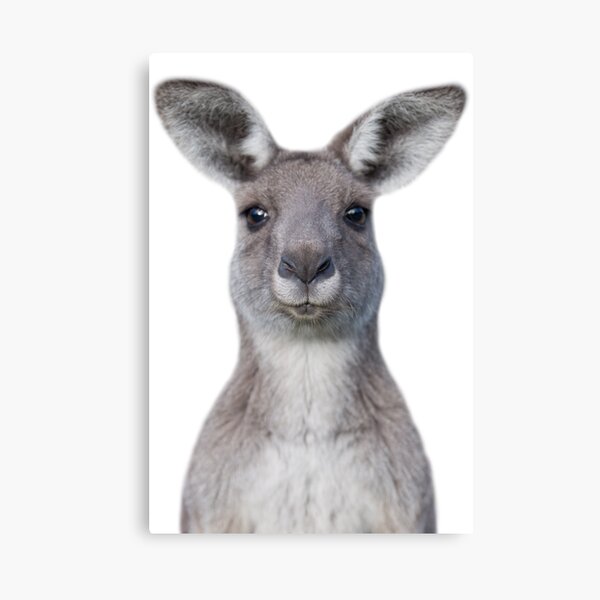 Item preview, Cute baby kangaroo designed and sold by krisbruuu.