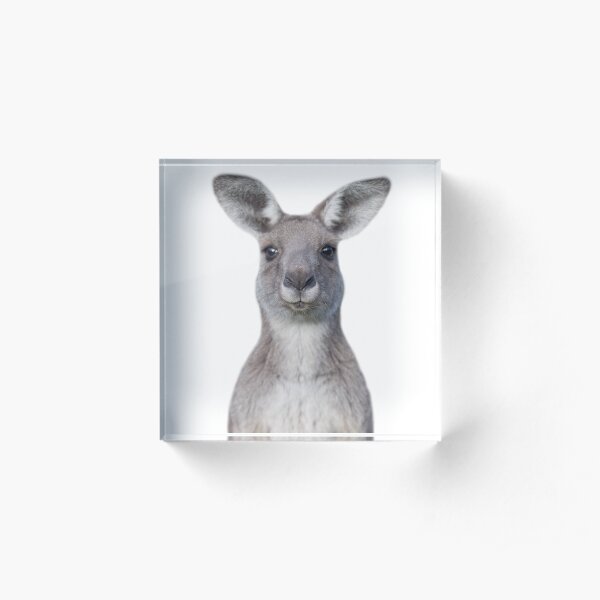 Cute baby kangaroo Acrylic Block
