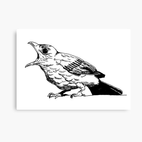 artist sketchbook – Cry The Bird