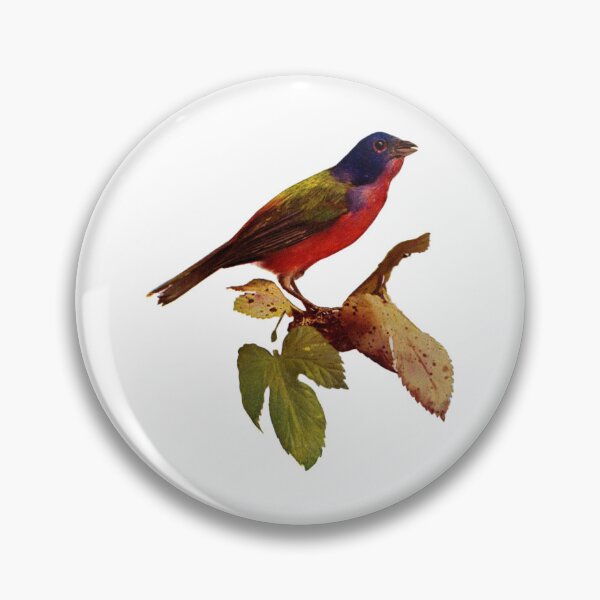 Item preview, Vintage Painted Finch designed and sold by dogemporium.