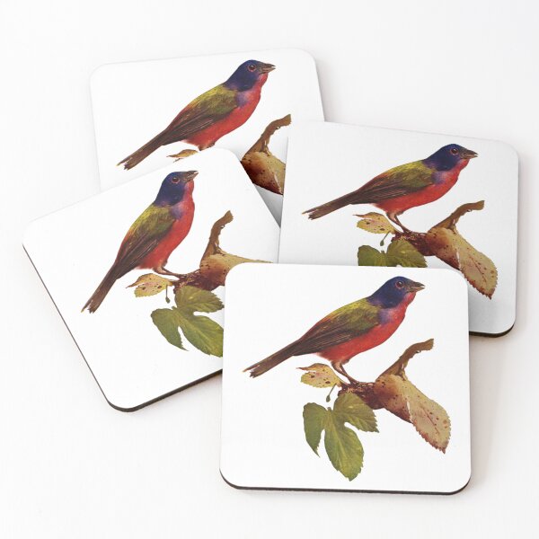 Item preview, Vintage Painted Finch designed and sold by dogemporium.