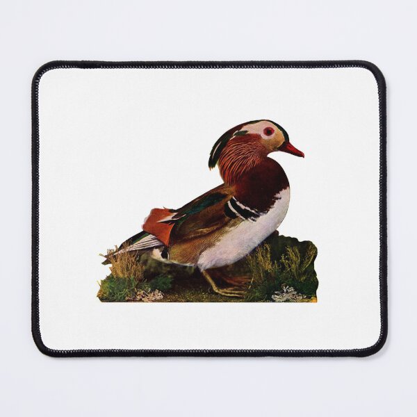 Item preview, Vintage Mandarin Duck designed and sold by dogemporium.