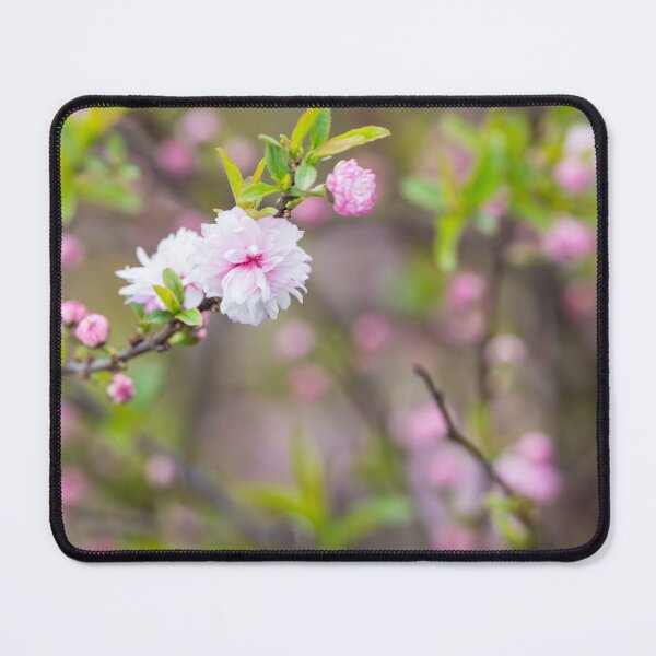 Item preview, Pink Flowering Almond Blossom designed and sold by mljdwhite.