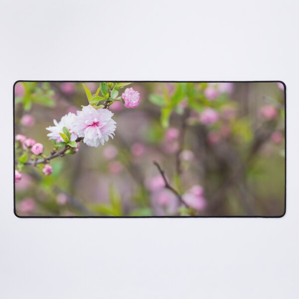 Item preview, Pink Flowering Almond Blossom designed and sold by mljdwhite.
