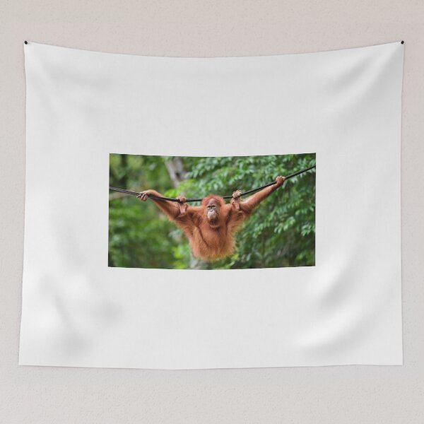 Item preview, Hanging Orangutan designed and sold by dave1879.