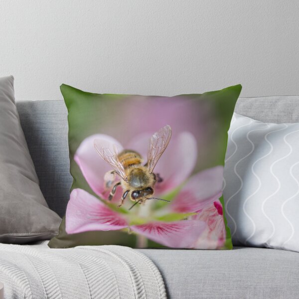Item preview, Sitting Pretty designed and sold by WendyJC.