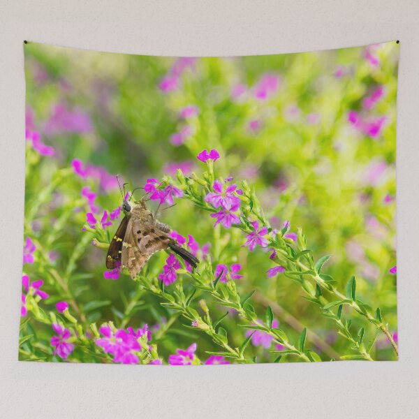 Item preview, Long-tailed Skipper Butterfly Sipping Heather Nectar designed and sold by Kay Brewer.