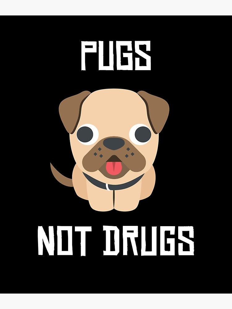 Cute Dog Pug Puppy Pugs Not Drugs | Poster