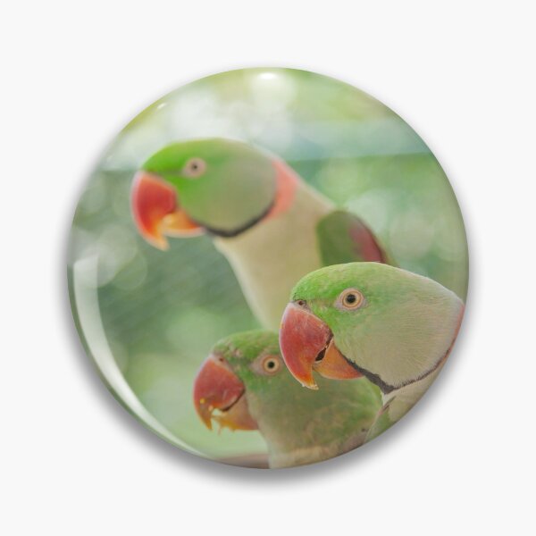 Item preview, beautiful parrot Birds designed and sold by johnrk.