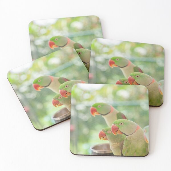 Item preview, beautiful parrot Birds designed and sold by johnrk.