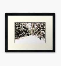 Virgin Snow Framed Print