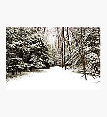 Virgin Snow Photographic Print