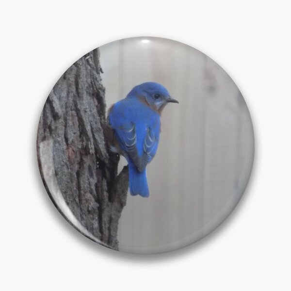 Item preview, Eastern Bluebird Male on Tree designed and sold by DragonCGallery.