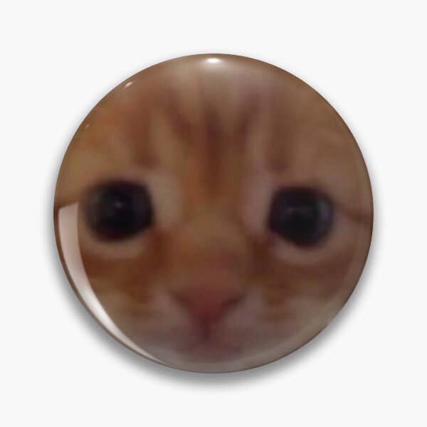 Item preview, Whoa CaT designed and sold by Funnydankmemes.