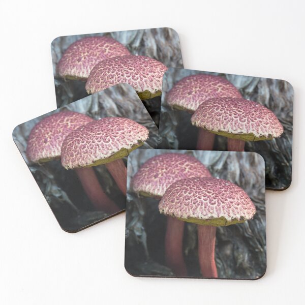 Item preview, Shaggy Cap Fungi, (Boletellus emodensis) designed and sold by Connie Pinson.