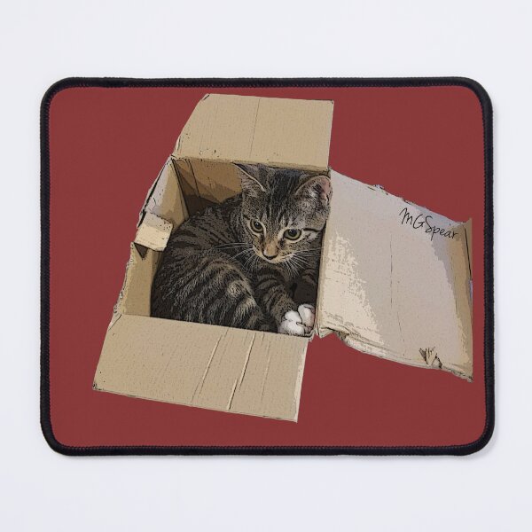 Small Kitty in a Box Mouse Pad