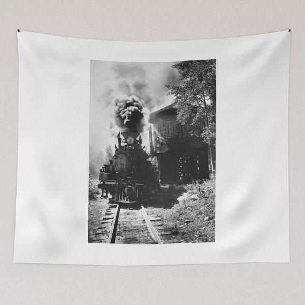 Item preview, Steam Locomotive, Colorado Train, 1880's  designed and sold by ScienceSource.