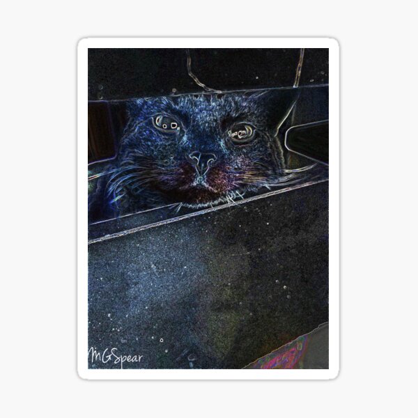 Cosmic Cat Sticker