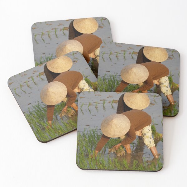 Item preview, planting rice designed and sold by stickelsimages.