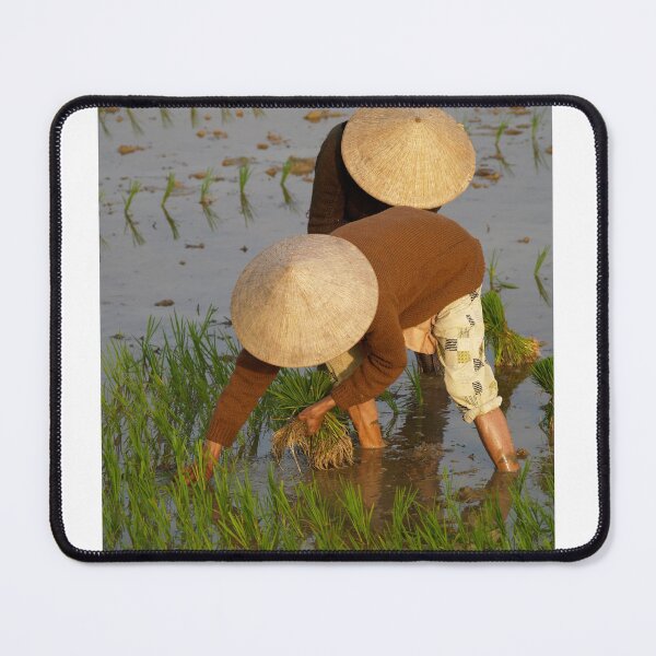 Item preview, planting rice designed and sold by stickelsimages.