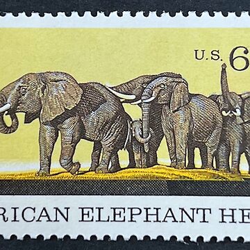 African Elephant Herd Vintage Postage Stamp Postcard