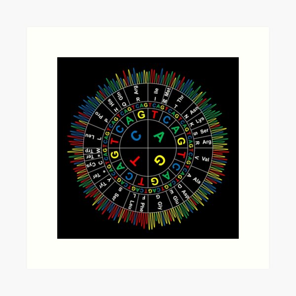 Item preview, Sanger Codon Circle (black background) designed and sold by dansdna.