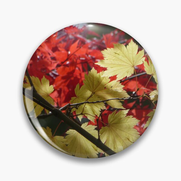 Item preview, Mt Wilson designed and sold by PhotosByG.