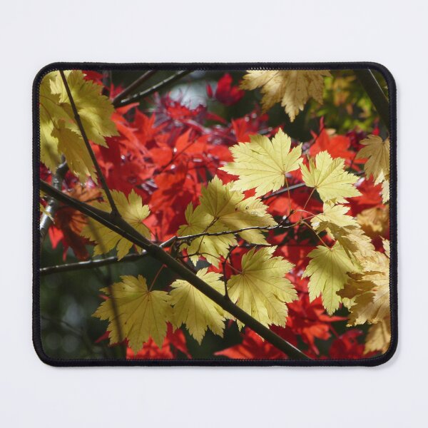 Item preview, Mt Wilson designed and sold by PhotosByG.