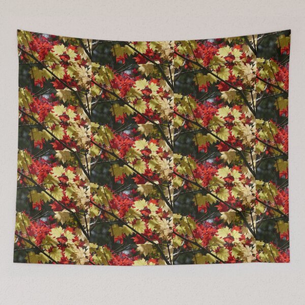 Item preview, Mt Wilson designed and sold by PhotosByG.
