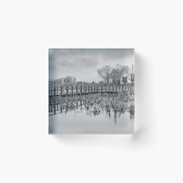 Item preview, Dancing trees (black and white) designed and sold by lyttonimages.