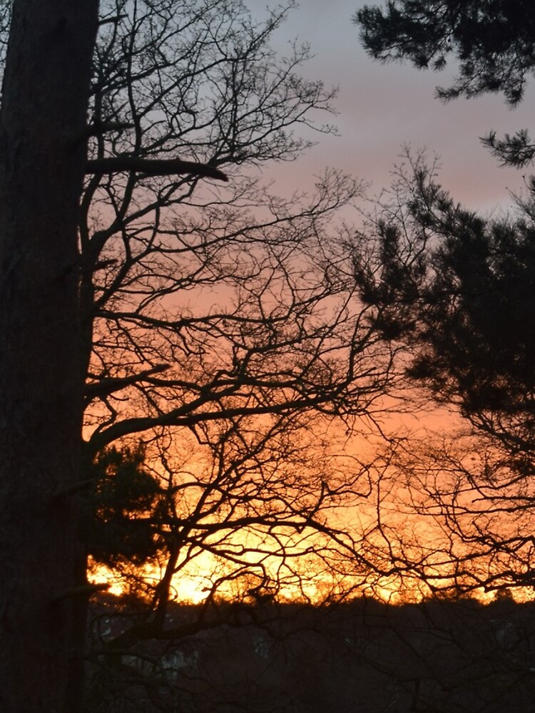 Winter Sunrise in Southampton by krgreen