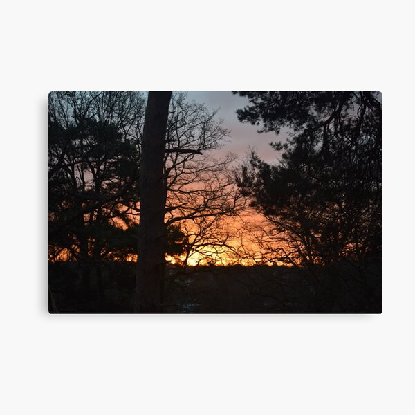 Winter Sunrise in Southampton Canvas Print