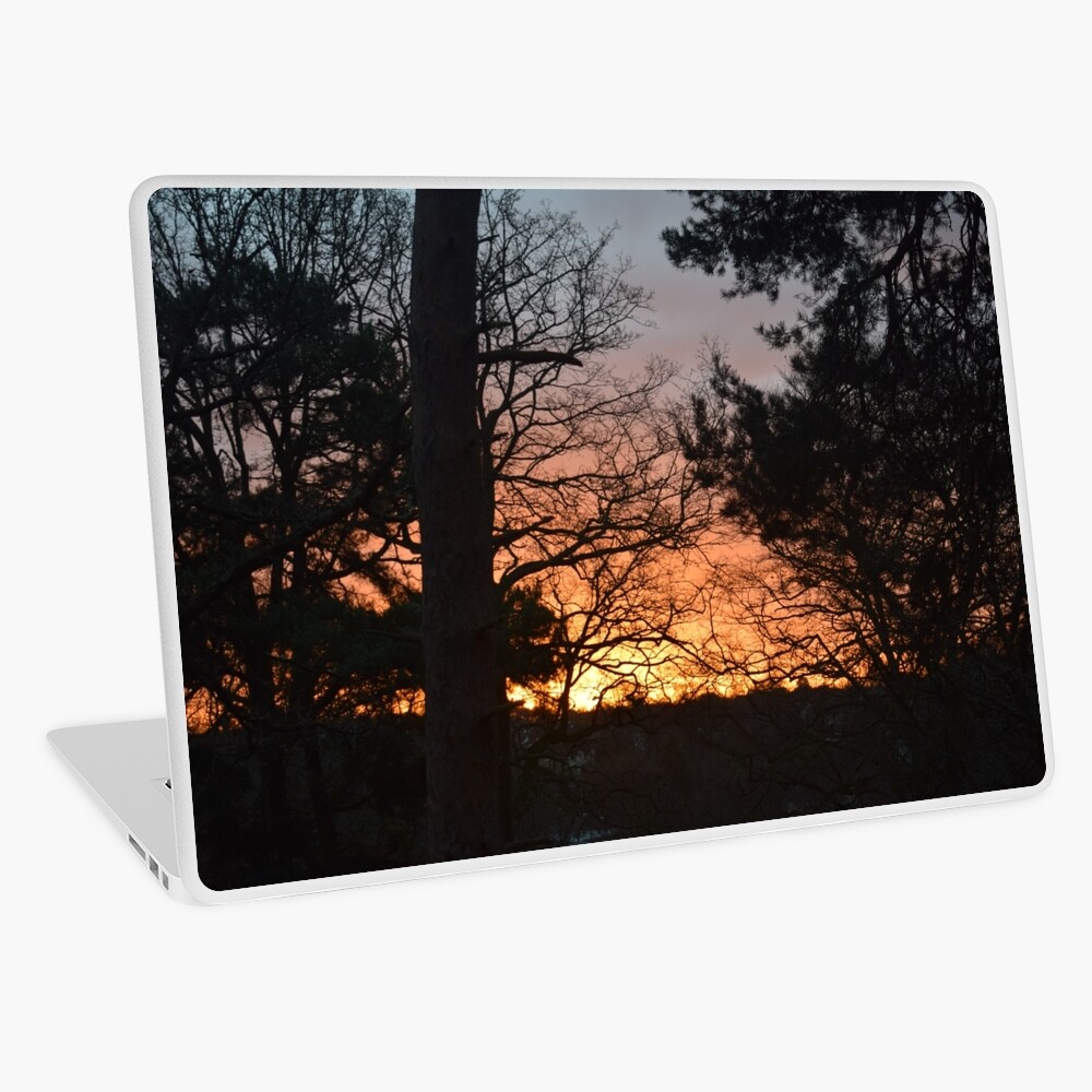 Winter Sunrise in Southampton Laptop Skin