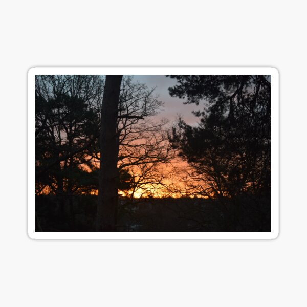 Winter Sunrise in Southampton Sticker
