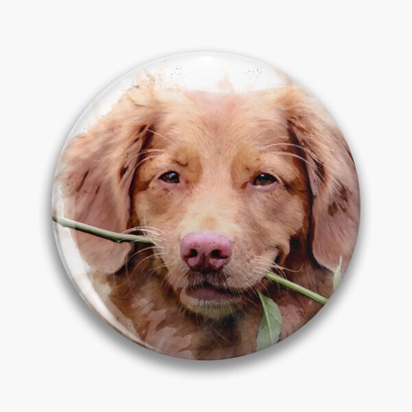 Item preview, Nova Scotia Duck Tolling Retriever with rose Watercolour - Happy Valentine’s Day designed and sold by Typeglyphs.