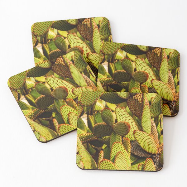 Item preview, Cactus designed and sold by Thaddeus Zajdowicz.