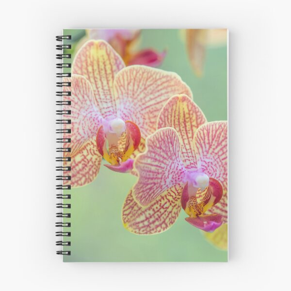 Item preview, Close-up of Beautiful Orchid Flowers in Bloom, a Pair  designed and sold by ScienceSource.