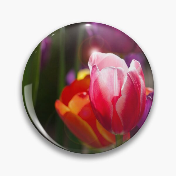 Artikelvorschau, Tulpen-Highlight entworfen und verkauft von Peter Edwards.