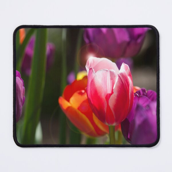 Item preview, Tulip Highlight designed and sold by Peter Edwards.