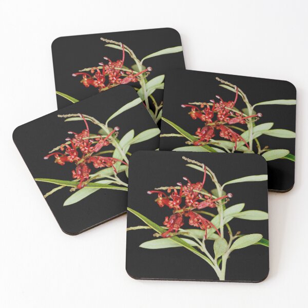 Item preview, Grevillea New Blood designed and sold by Peter Edwards.