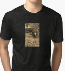 Reptile House Tri-blend T-Shirt