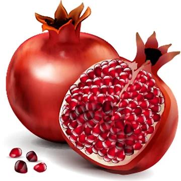 Artwork thumbnail, pomegranate by RUXART