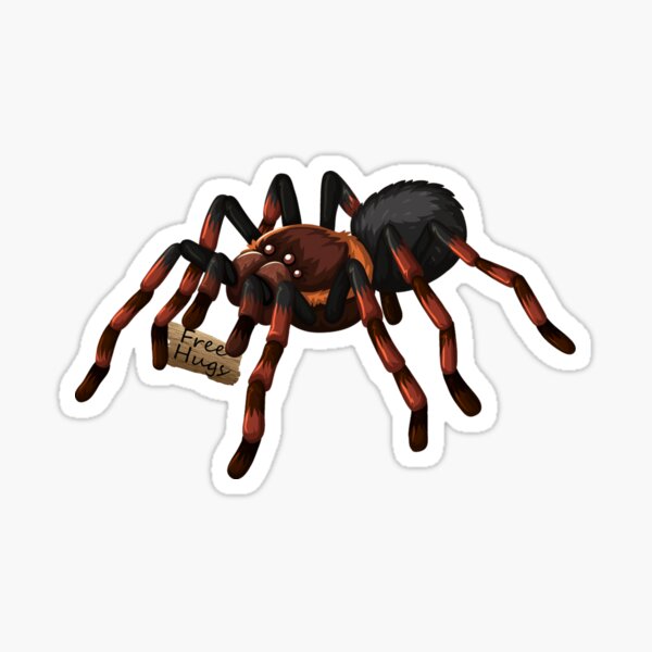 Artikel-Vorschau von Tarantula Lover Geschenke Free Hugs, designt und verkauft von Draw-Floks.