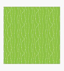 Green floral lines Photographic Print