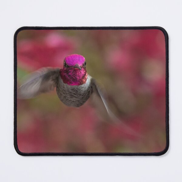 Item preview, Anna's Hummingbird Portrait designed and sold by MCHerdering Photography.