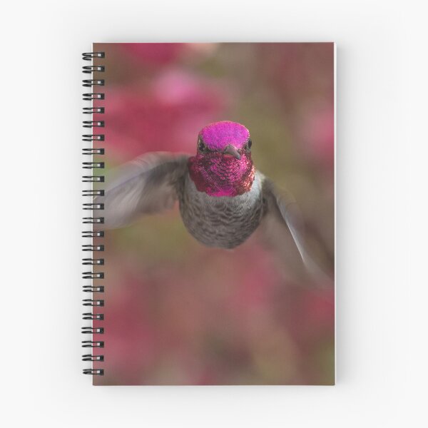 Item preview, Anna's Hummingbird Portrait designed and sold by MCHerdering Photography.